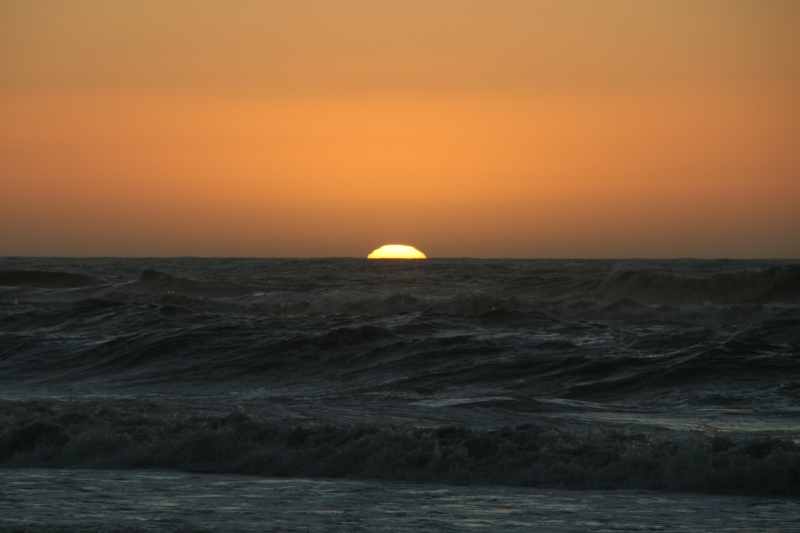 Nieuw-Zeeland 2011 - 1382